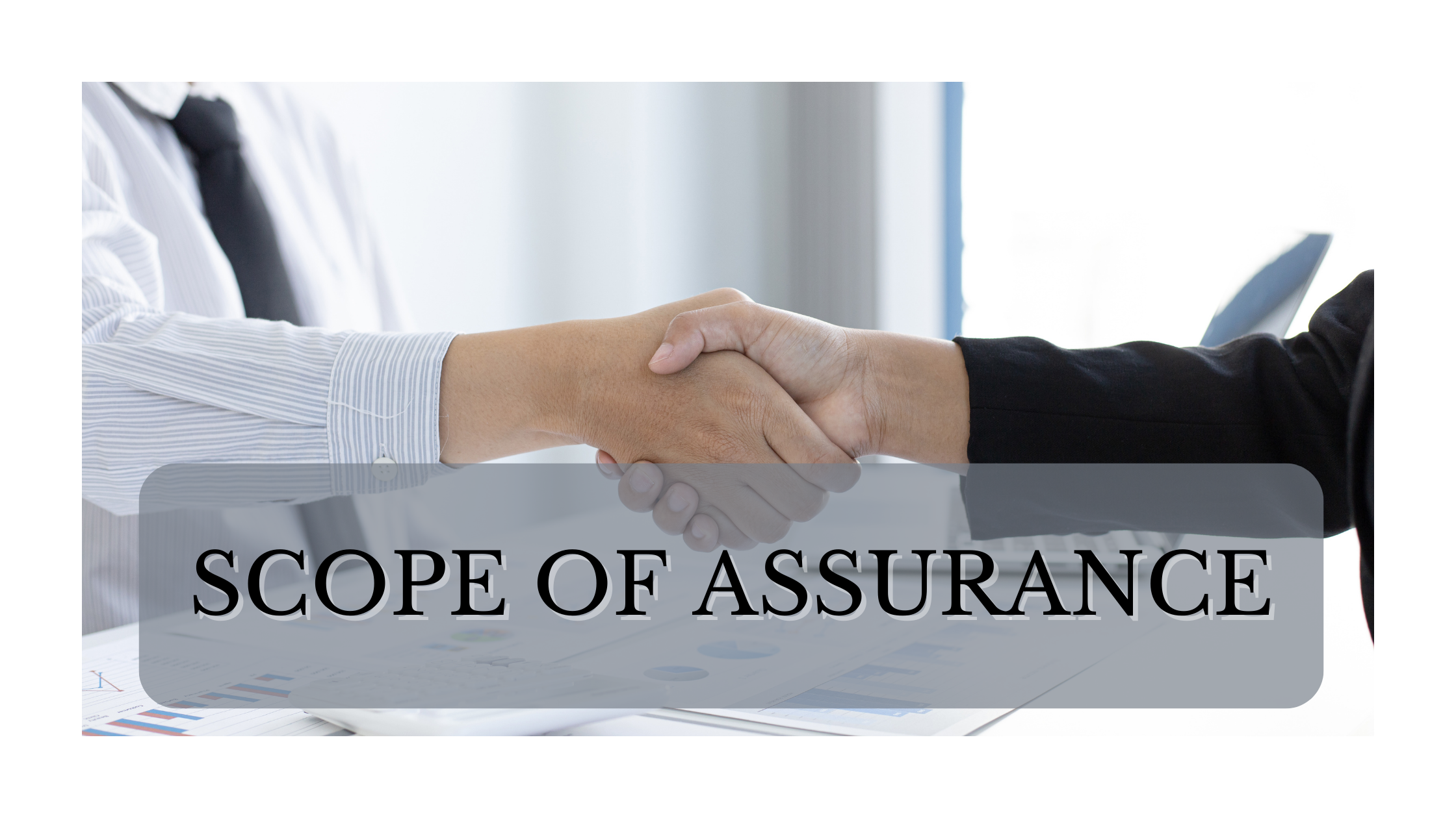 SCOPE OF ASSURANCE