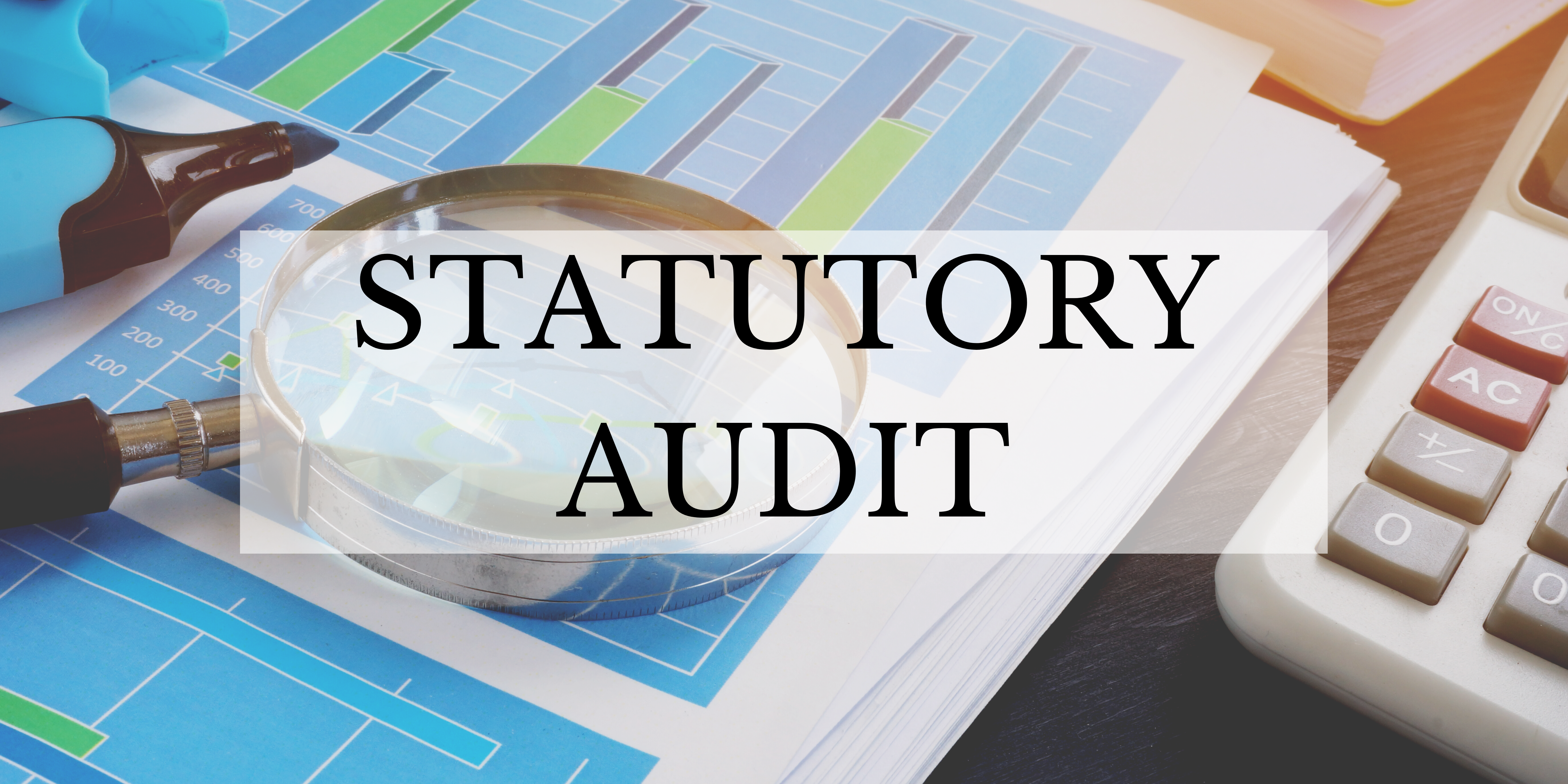 Statutory Audit