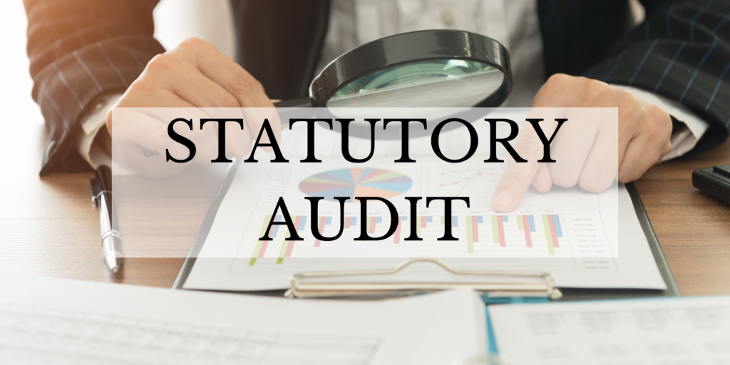 Statutory Audit – January 2023