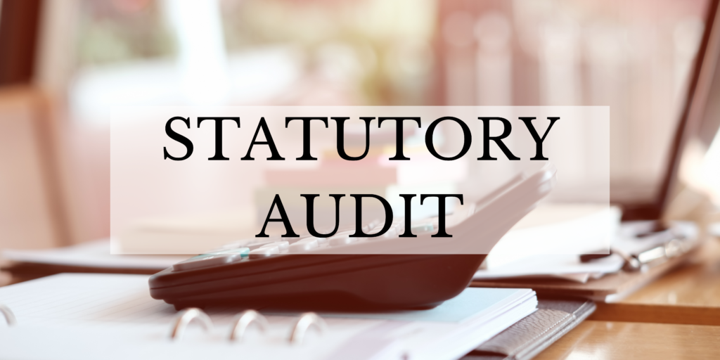 Statutory Audit – February 2023