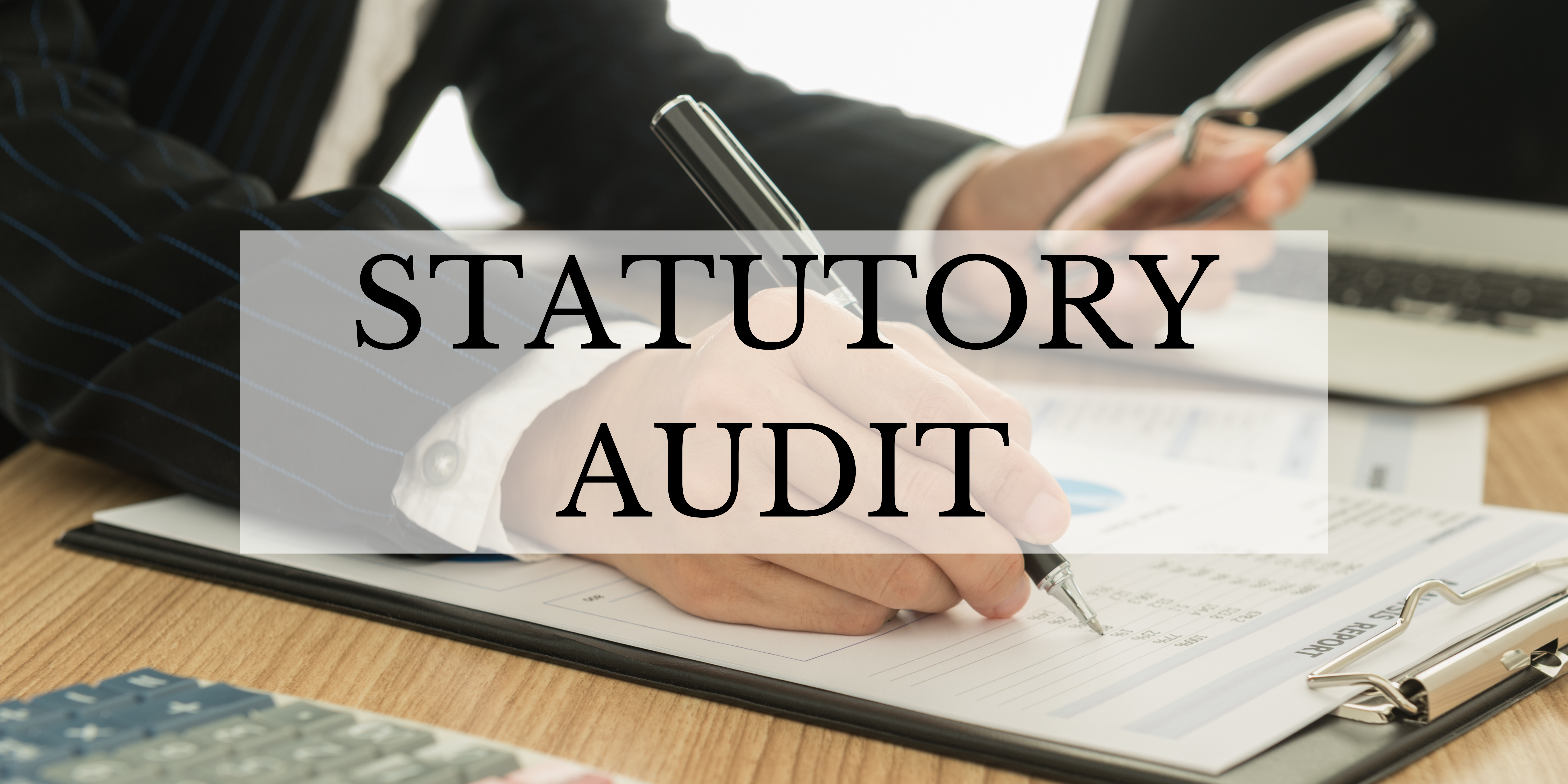 Statutory Audit